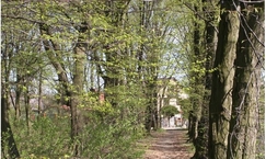 Park krajobrazowy w Woli Pniewskiej