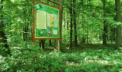 Rezerwat przyrody "Grądy Osuchowskie"